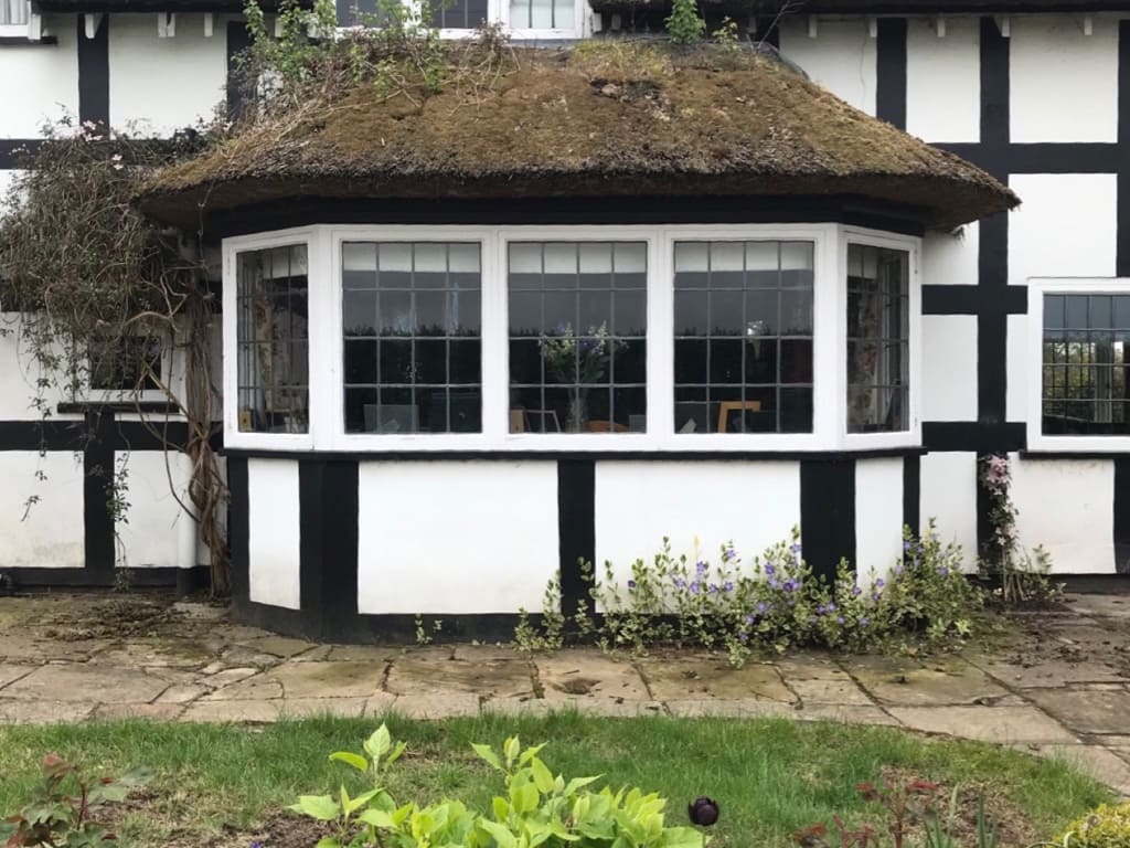 Moss on a thatched roof