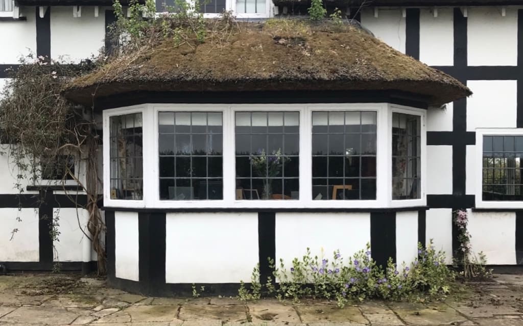 Thatched roof with moss