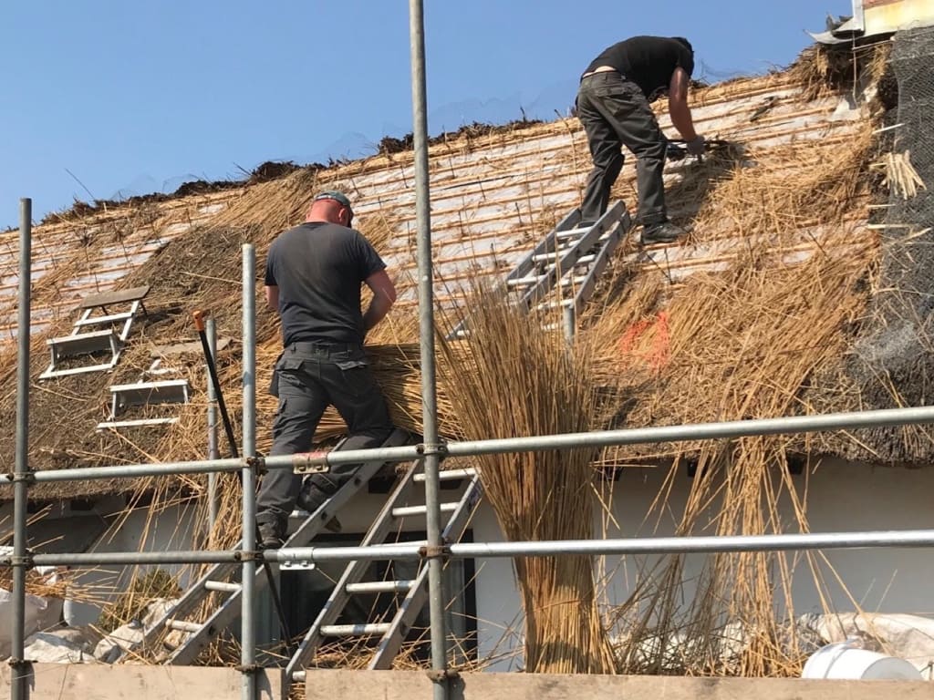 Thatchers installing fire barriers on thatched roof