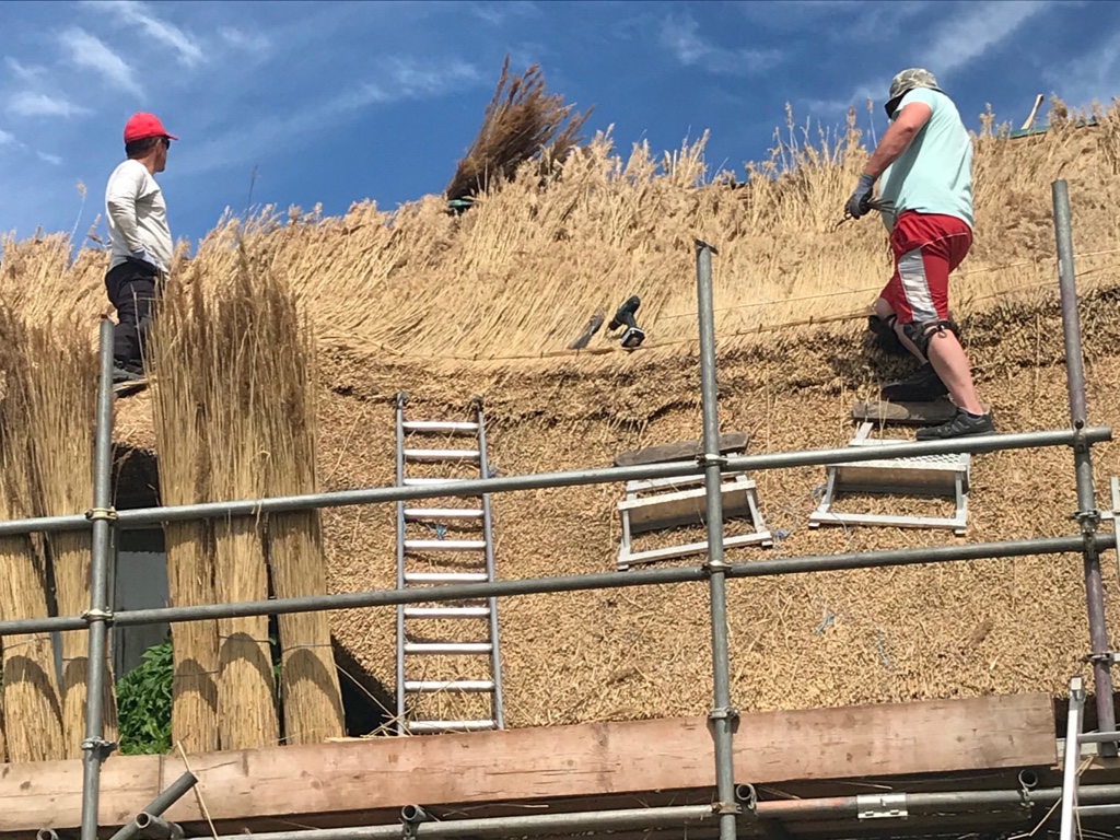 Thatchers re-thatching roof