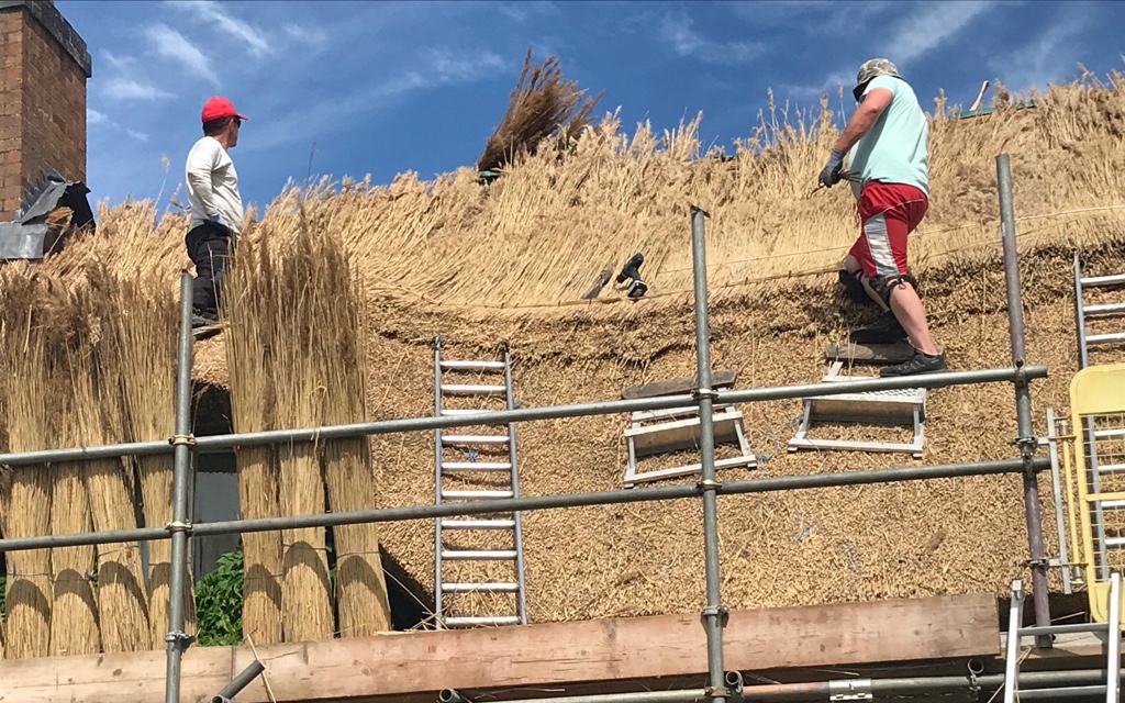 Thatchers re-thatching a roof